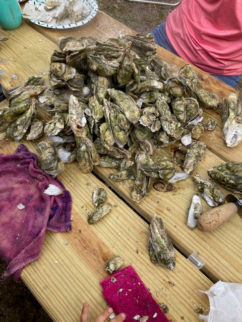 Coastal Carolinas - Pies 772-806